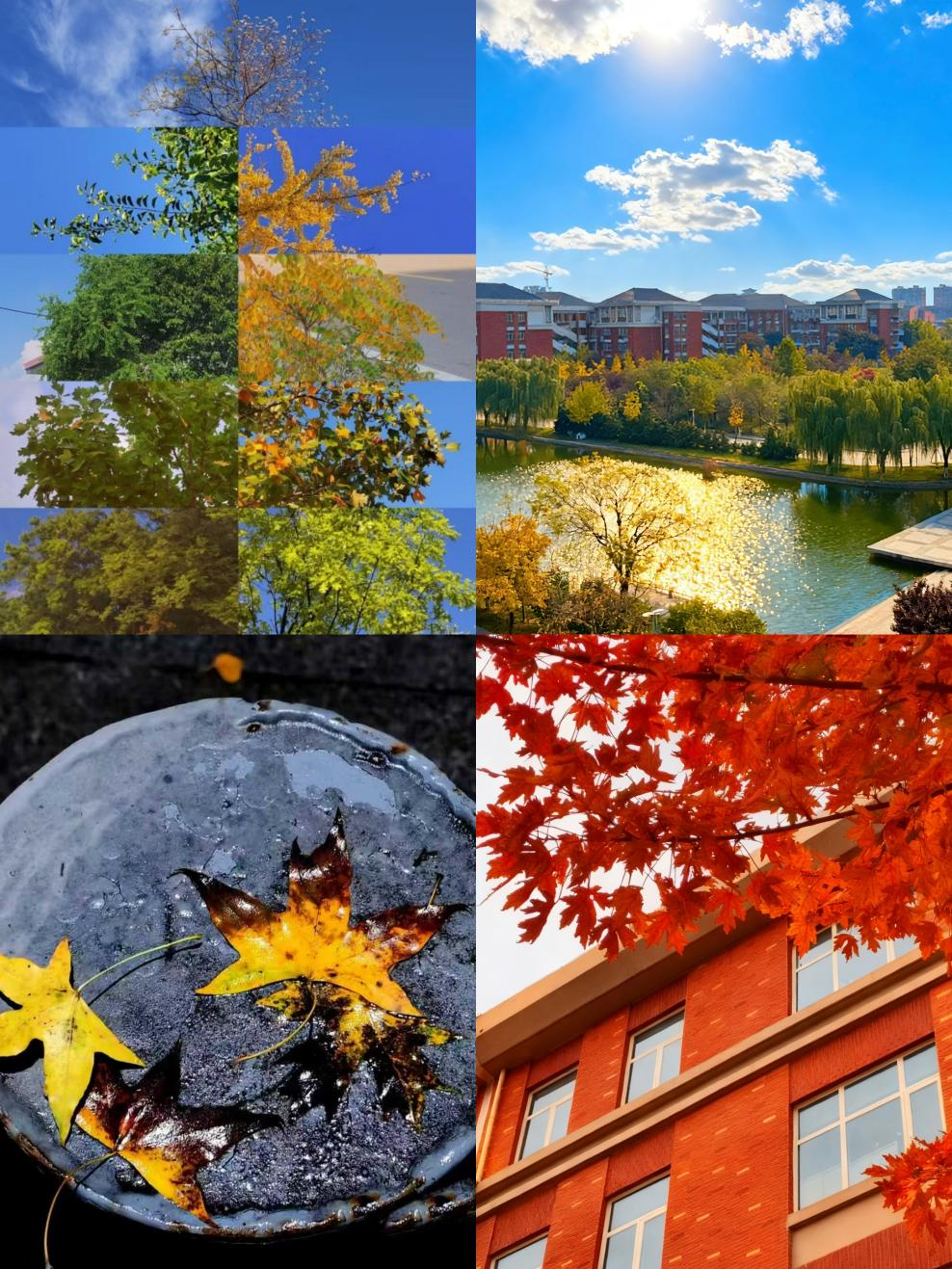 68029de51be04e9599f34eb3190587ee.png 68029de51be04e9599f34eb3190587ee.png